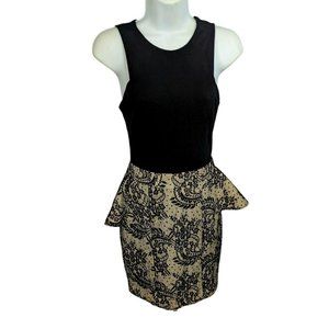 Bebe Brown and Black Sleeveless Stretch Dress S